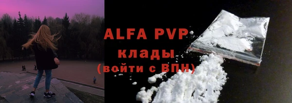 прущие грибы Киренск