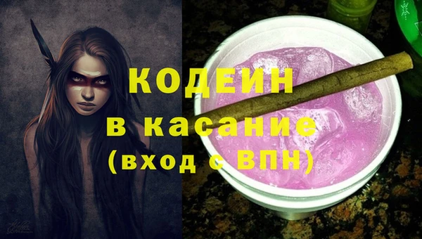 стаф Корсаков