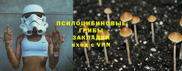 мдпв Коряжма