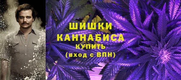 стаф Корсаков