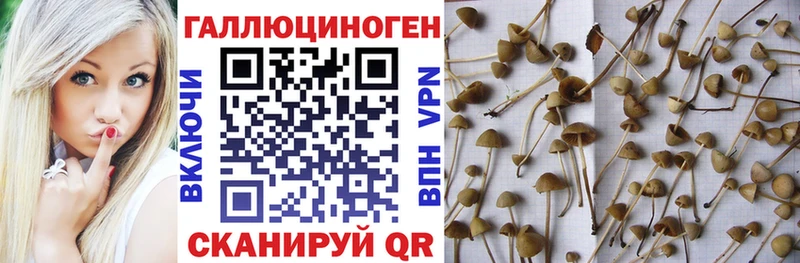 ссылка на мегу ССЫЛКА  площадка наркотические препараты  Галлюциногенные грибы Magic Shrooms  Красновишерск 